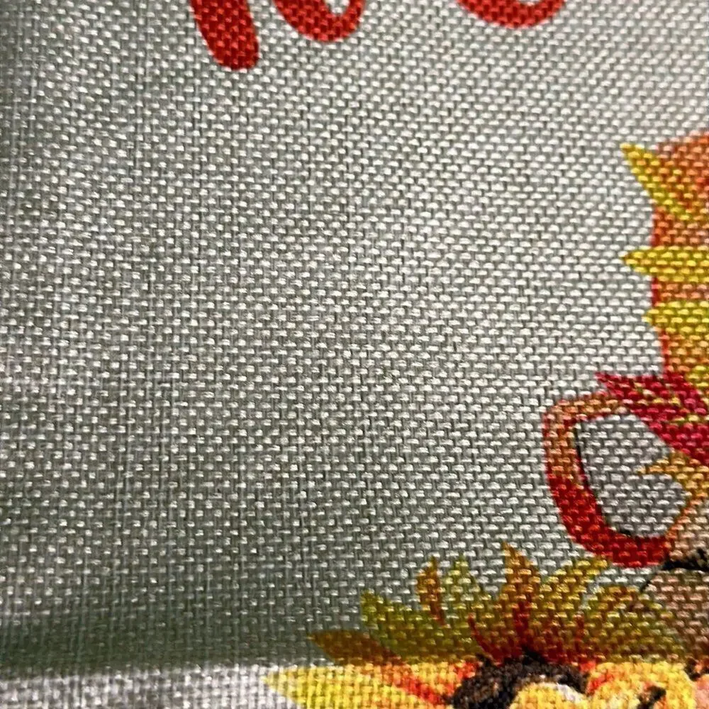 NWT Fall Pillow Sham “Welcome To Our Pumpkin Patch 18” x 18” Truck squash